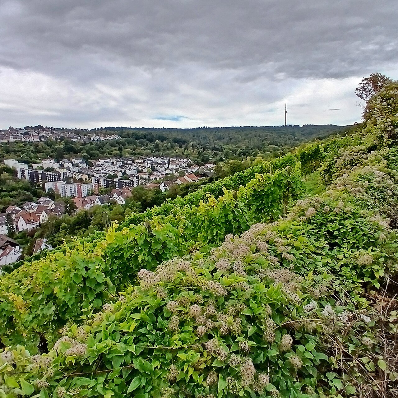 Stadtbezirk Sillenbuch
